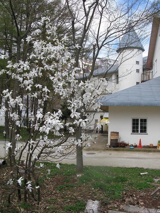 Hôtel Grindelwald à Yuzawa  Extérieur photo